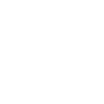 Dandy